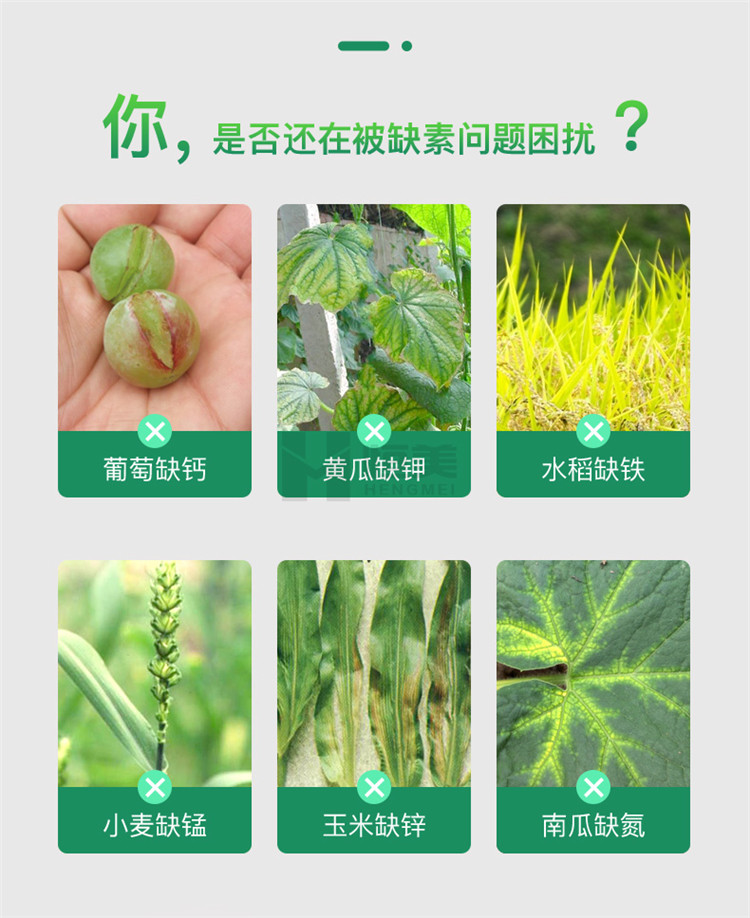 高智能土壤養分檢測儀怎么選？